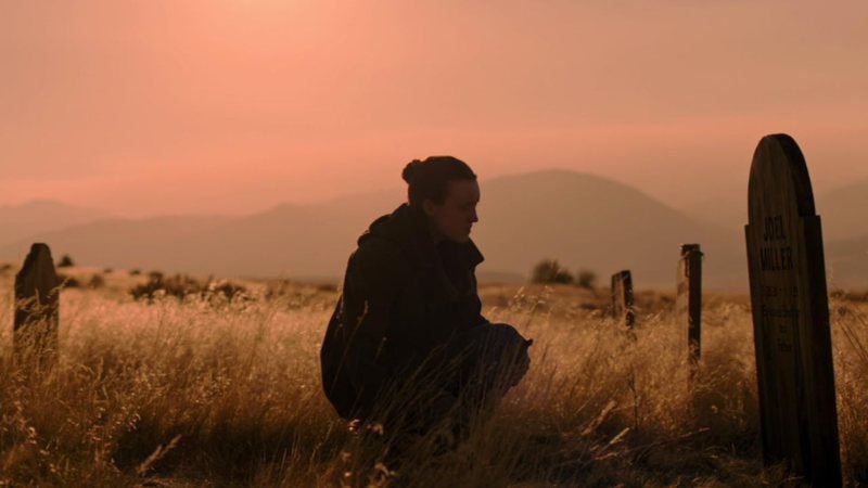 The Last of Us