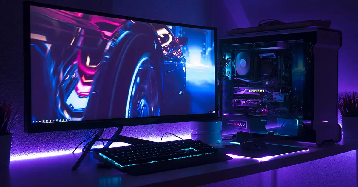 PC gamer