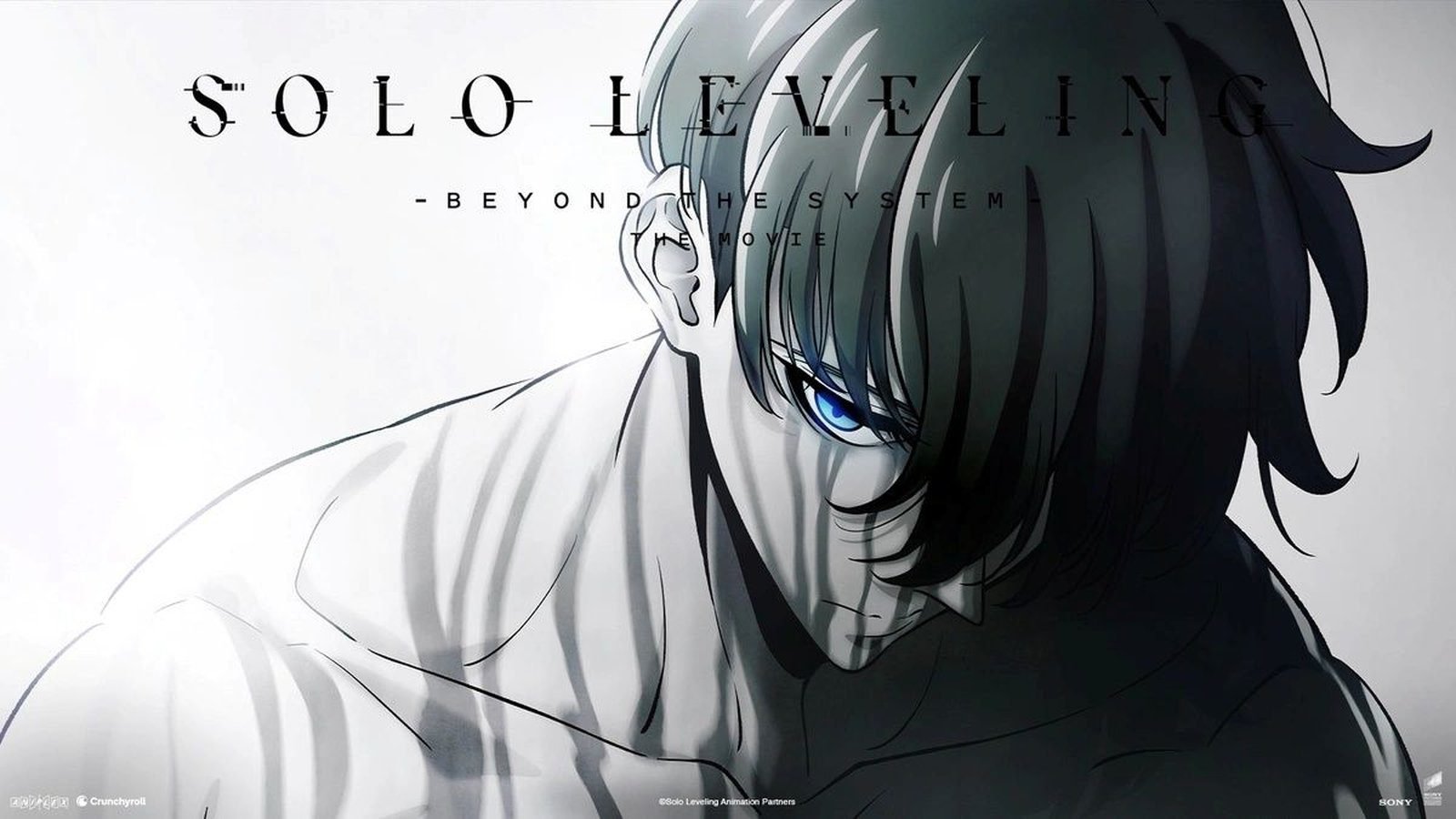 Solo Leveling: Beyond the System
